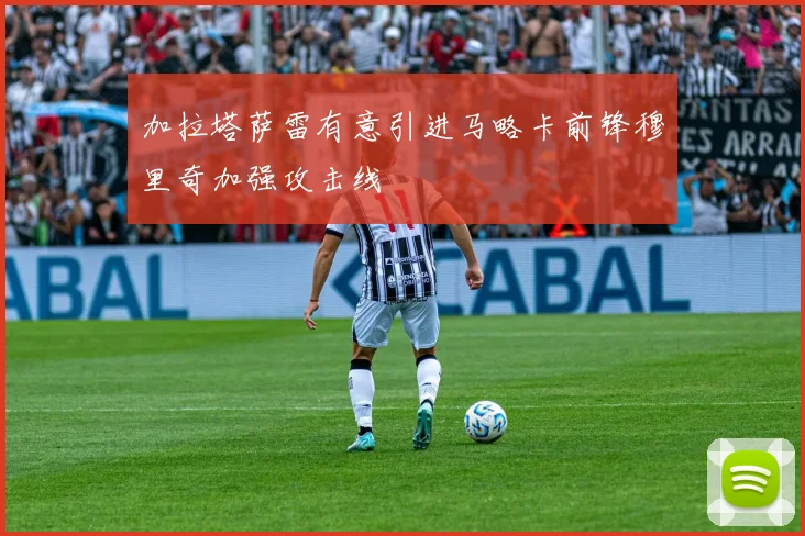 加拉塔萨雷有意引进马略卡前锋穆里奇加强攻击线