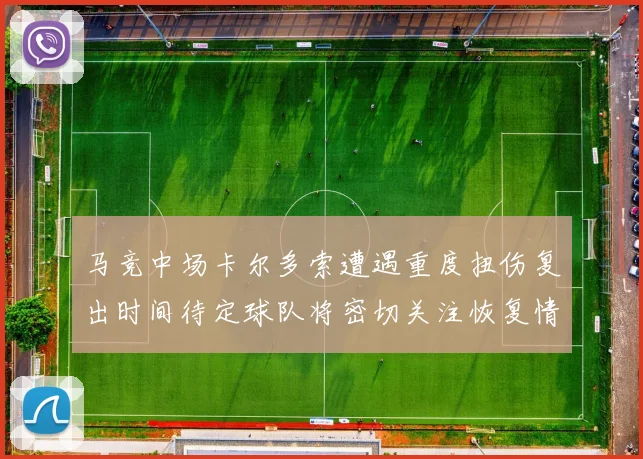 马竞中场卡尔多索遭遇重度扭伤复出时间待定球队将密切关注恢复情况