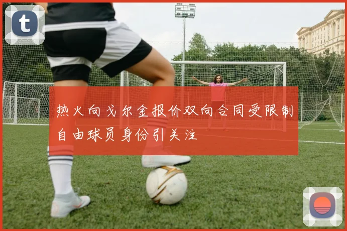 热火向戈尔金报价双向合同受限制自由球员身份引关注